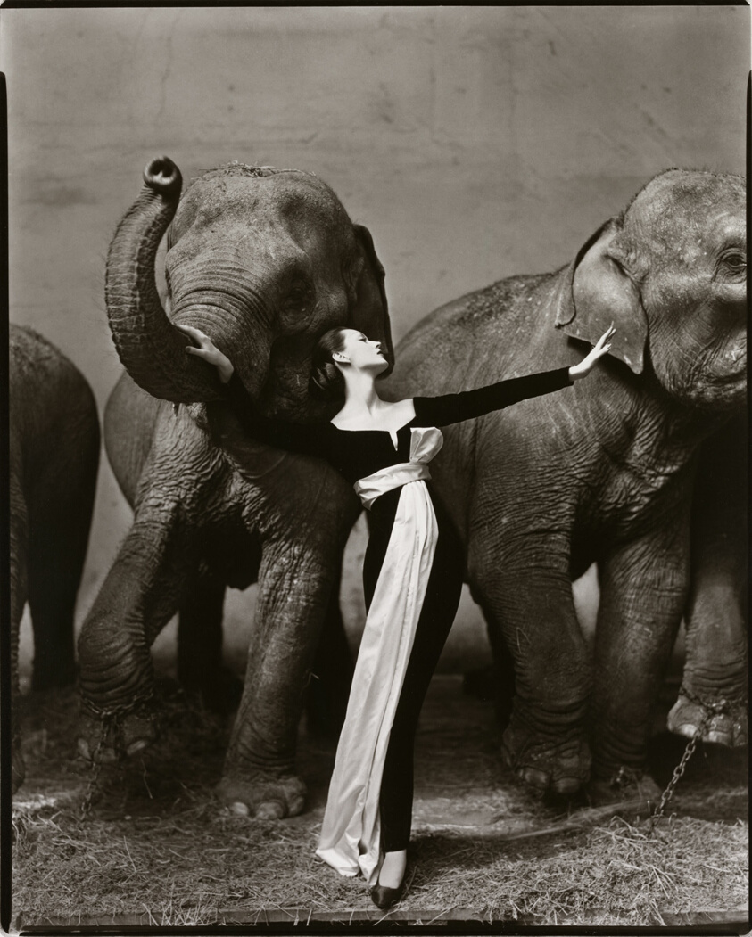 Why Portrait of a Lady Still Reigns as the Most Powerful Perfume for Women