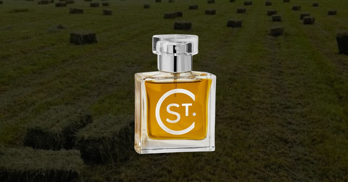 From Butter to Perfume: The Unique Story of Diane St. Clair