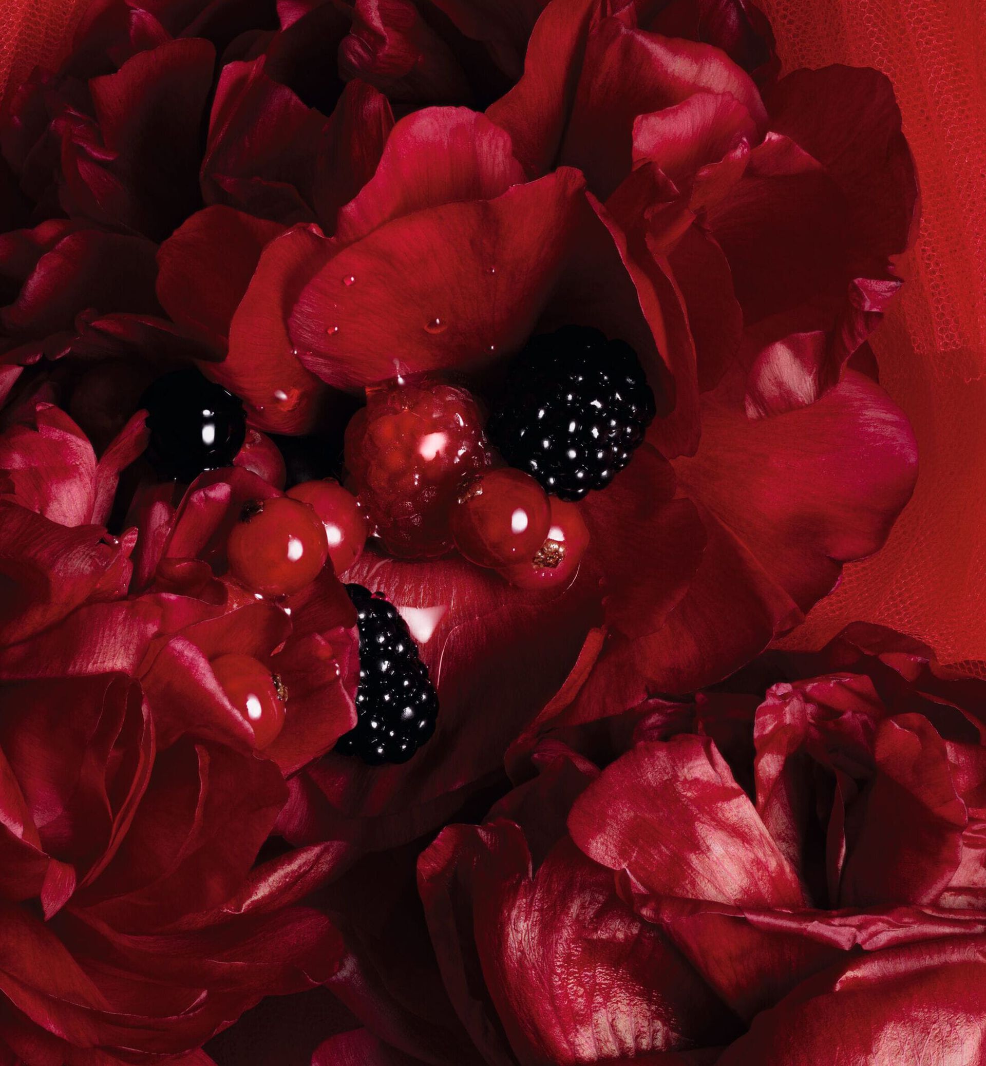 Dior Rouge Trafalgar: A Red Moment in a Bottle