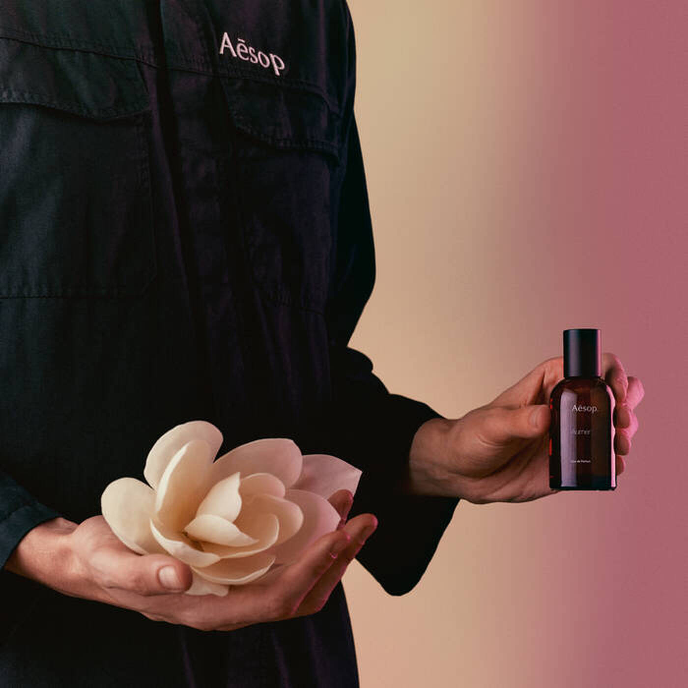 Aesop Aurner Perfume Review: Warm, Woody, and Easy to Live With