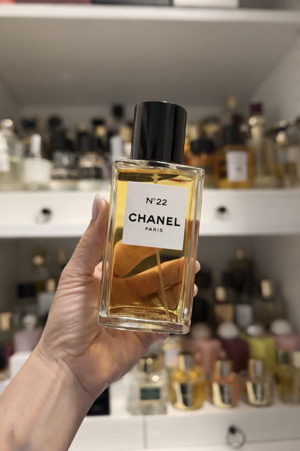 Chanel N°22: The Most Underrated Masterpiece in Perfume History