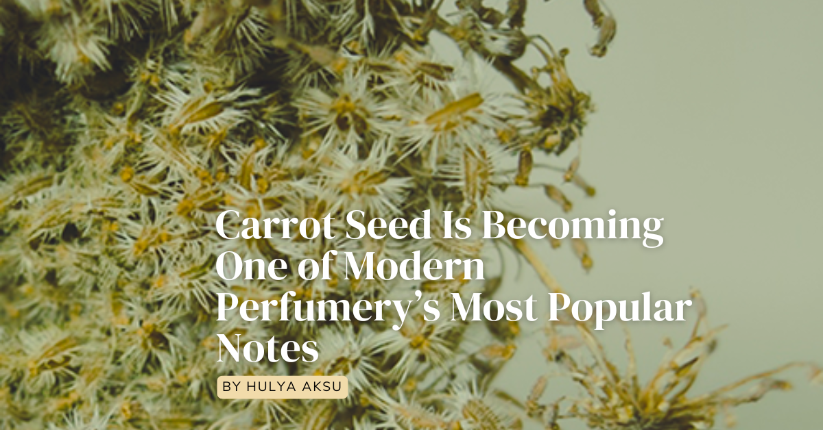 Carrot Seed Is Becoming One of Modern Perfumery’s Most Popular Notes