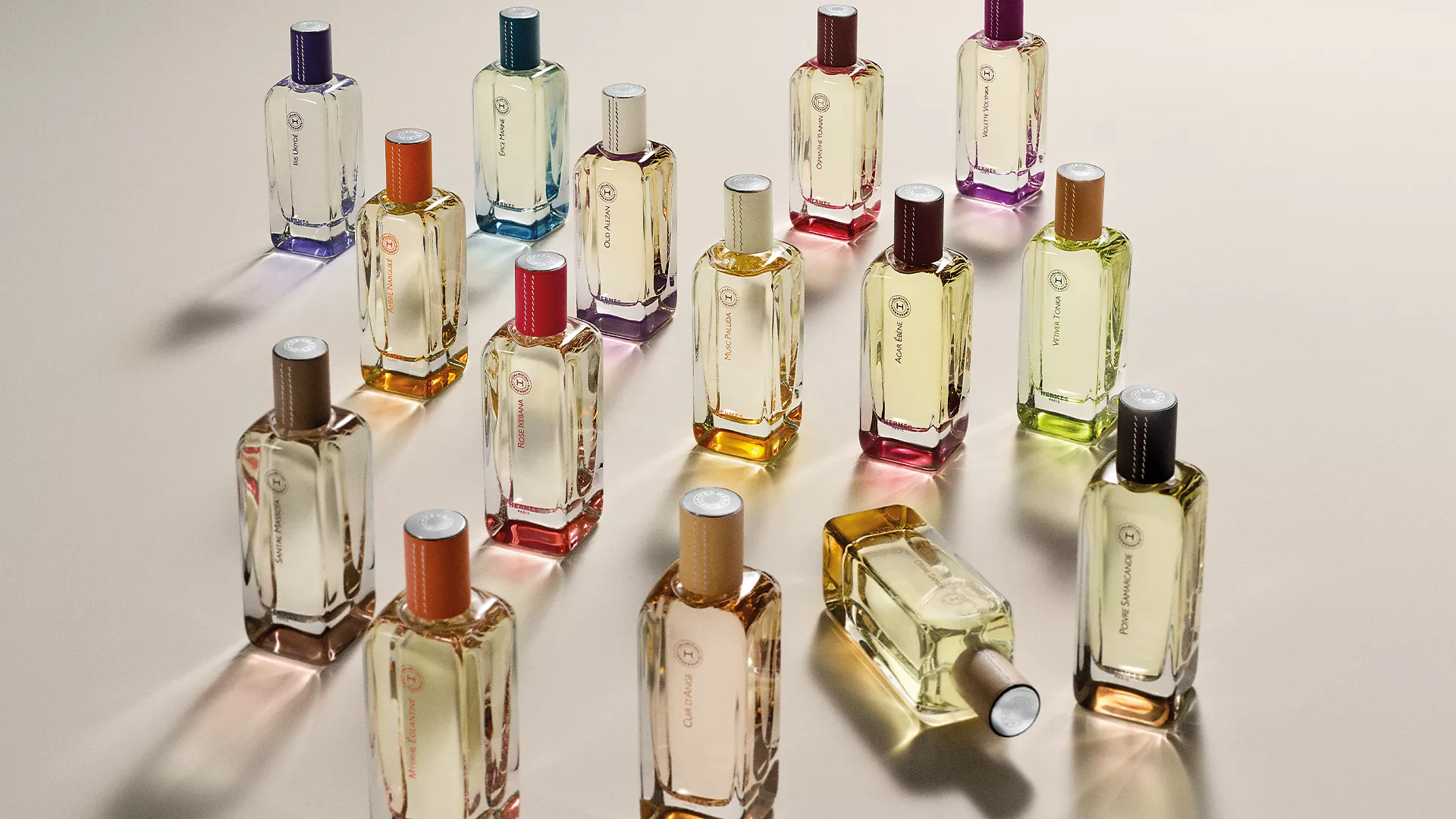 The Allure of Musc Pallida: Iris and Musk Unveiled